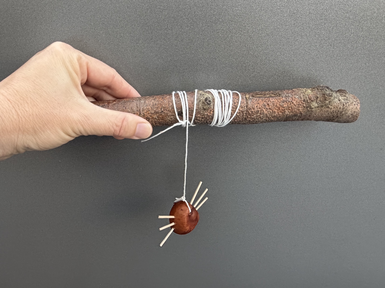 Basteltipp: Spinne mit Fehlern