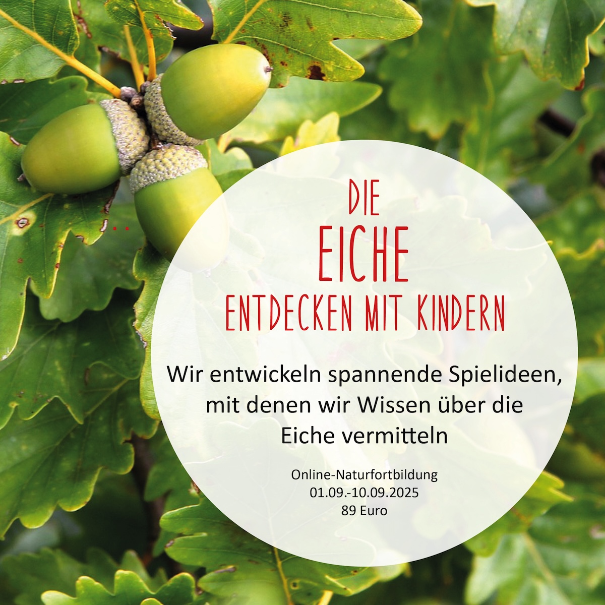 https://www.schlaubatz.de/naturfortbildungen/