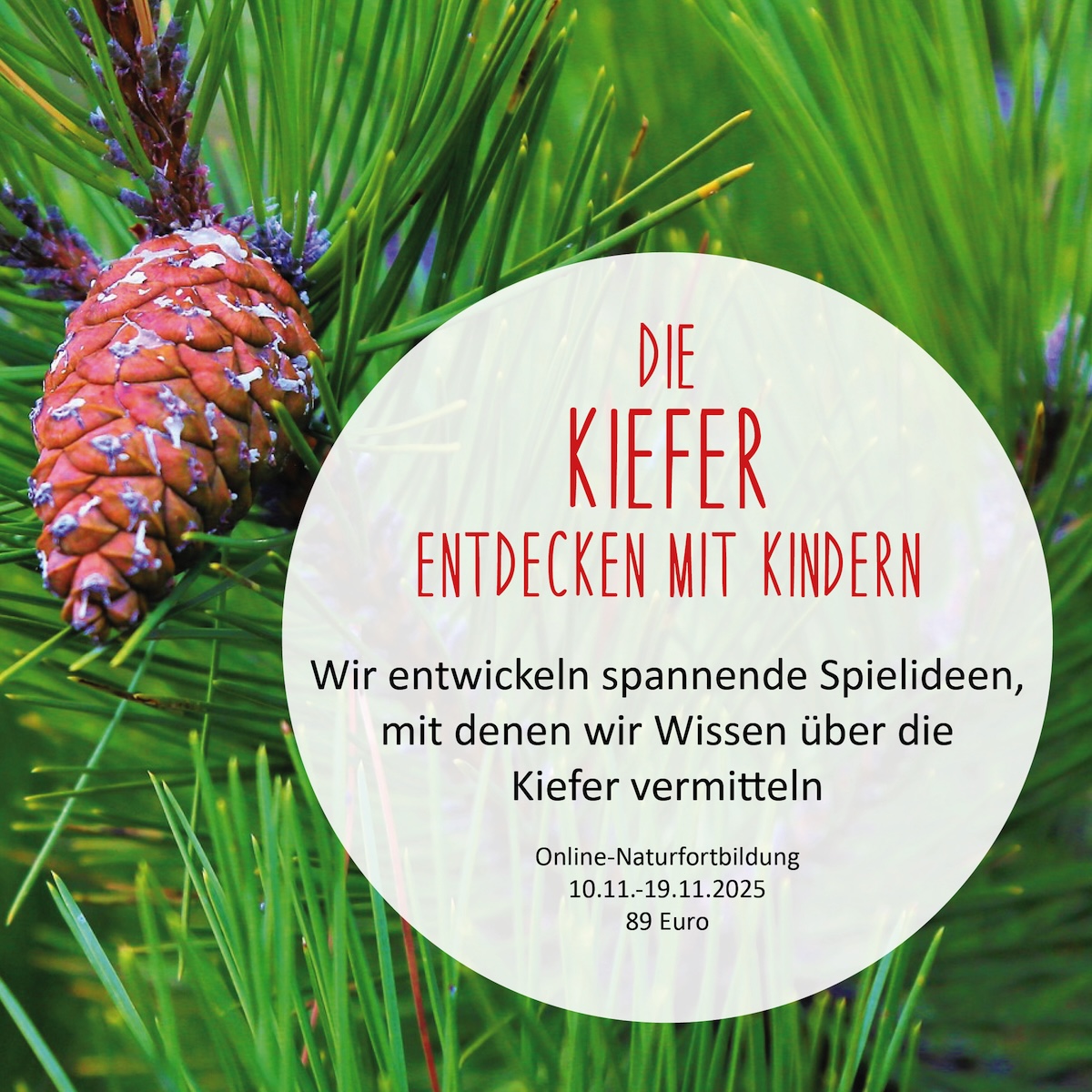https://www.schlaubatz.de/naturfortbildungen/