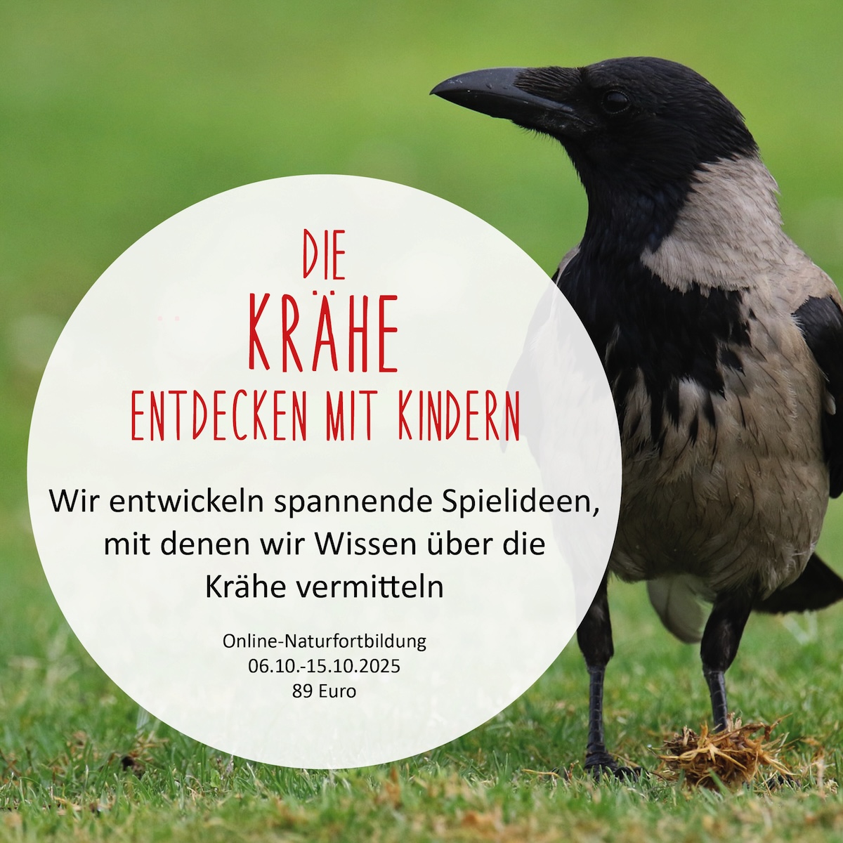 https://www.schlaubatz.de/naturfortbildungen/