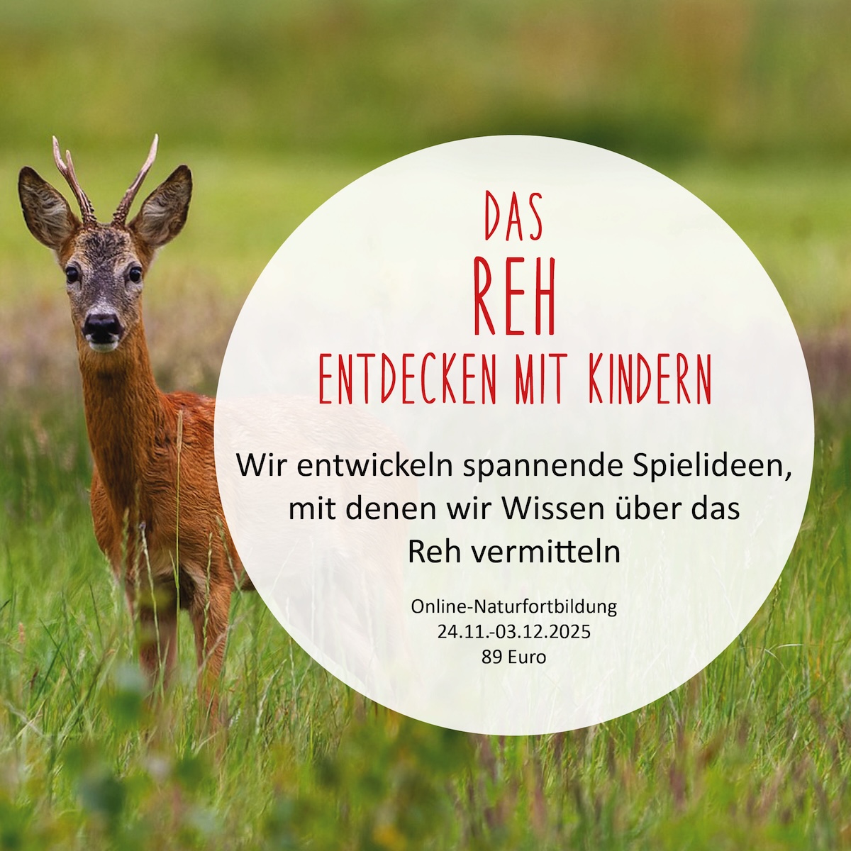 https://www.schlaubatz.de/naturfortbildungen/