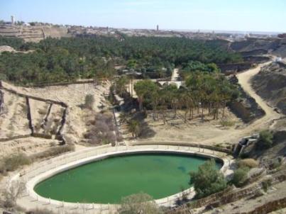 Oasis de Nefta