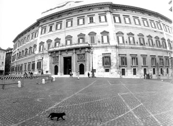 Roma, Aprile 1994 - Primo giorno Governo Berlusconi, gatto nero attraversa  Piazza Montecitorio