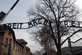 Auschwitz-Birkenau y Mina de Sal de Wieliczka - MISMO DÍA