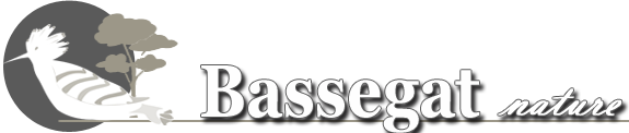 Bassegat Nature