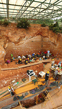 Excavación del yacimiento de Gran Dolina, en Atapuerca (Burgos). El nivel TD6 donde aparecieron los restos de Homo antecessor es el que se está excavando justo por debajo de los andamios. Foto (cc): Wikipedia.org