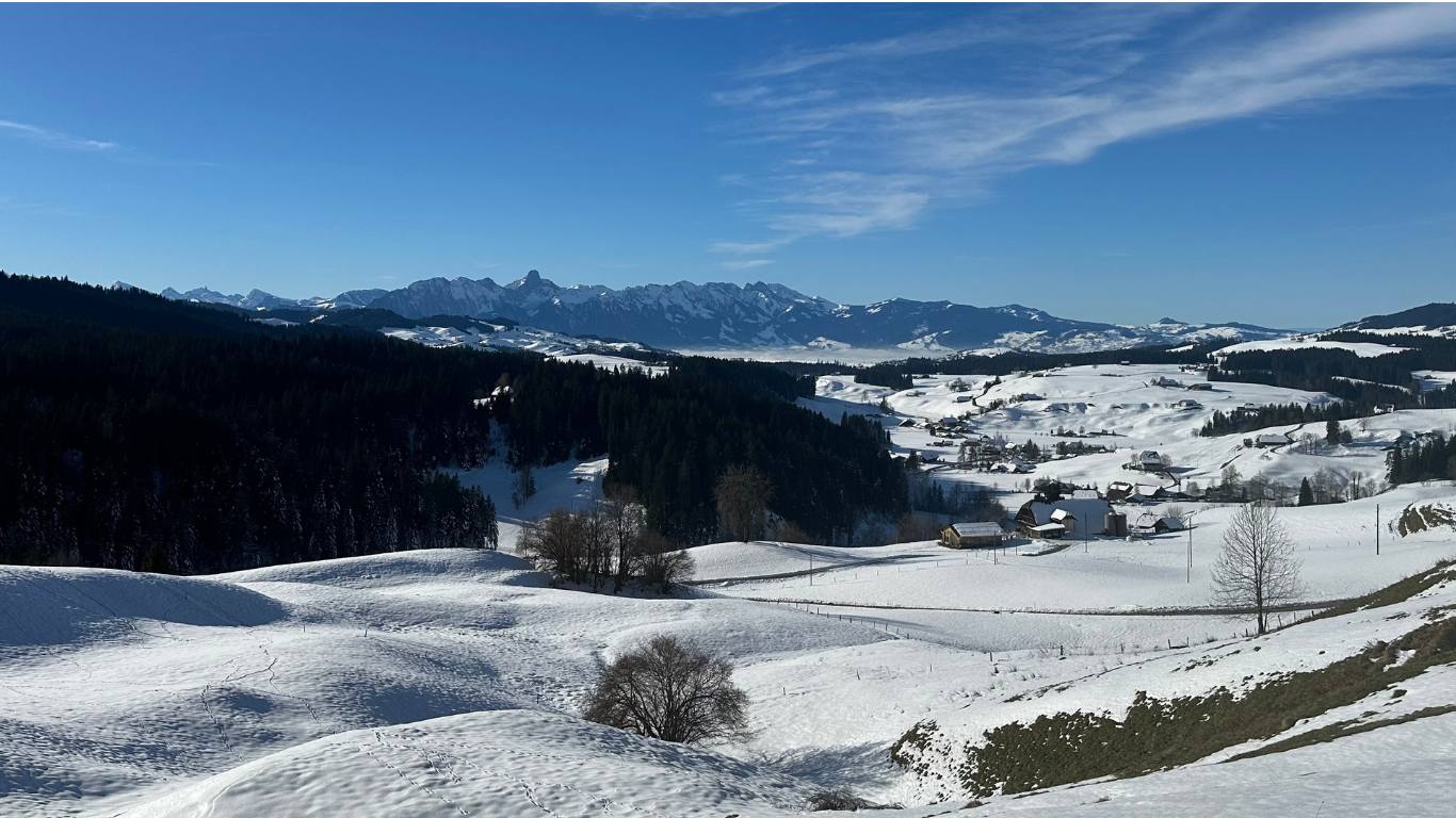 Rückblick – Mit Freude auf dem Weg bleiben