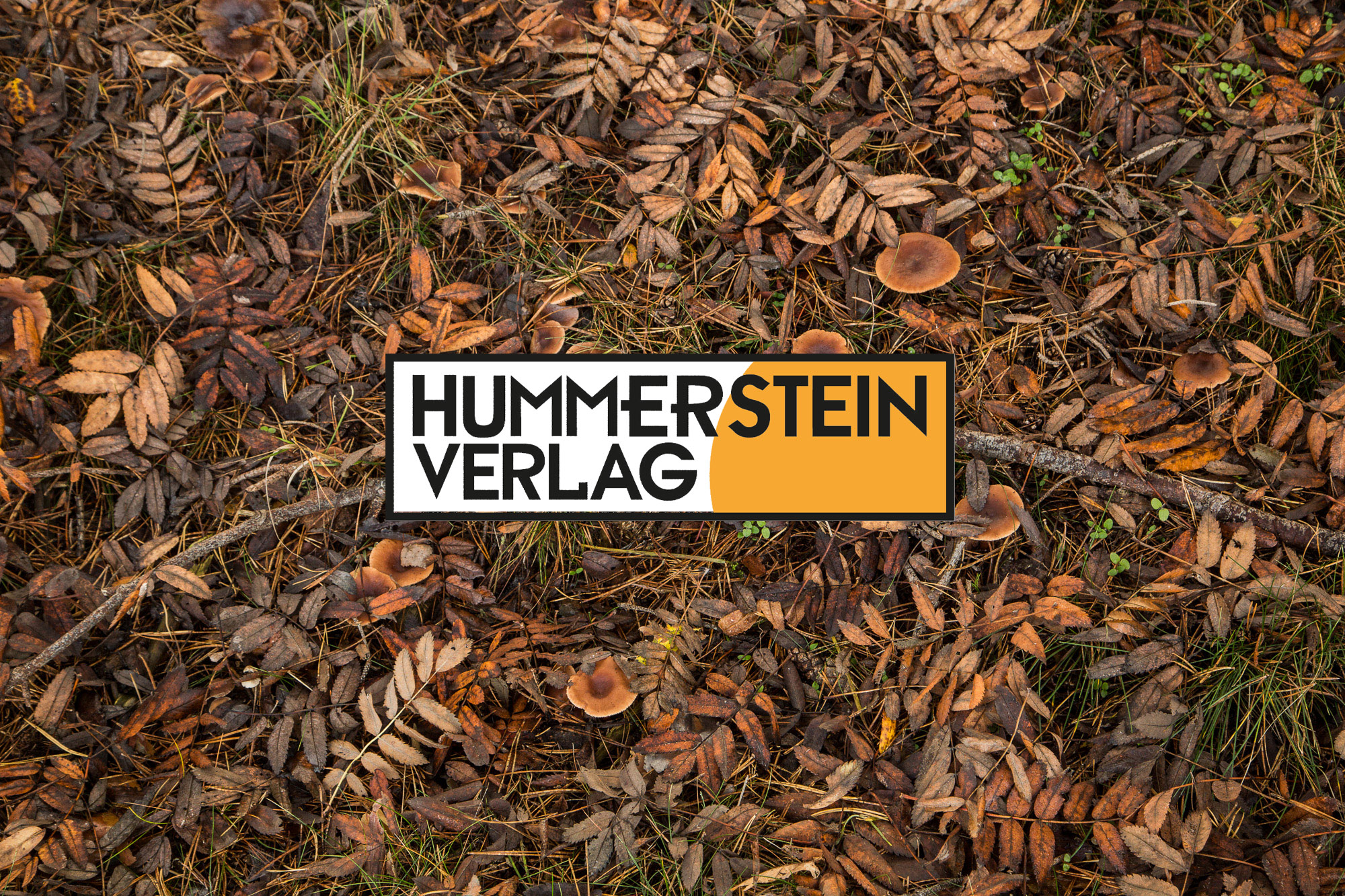 (c) Hummerstein-verlag.de