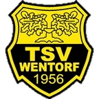 tsv-wentorfs Webseite!