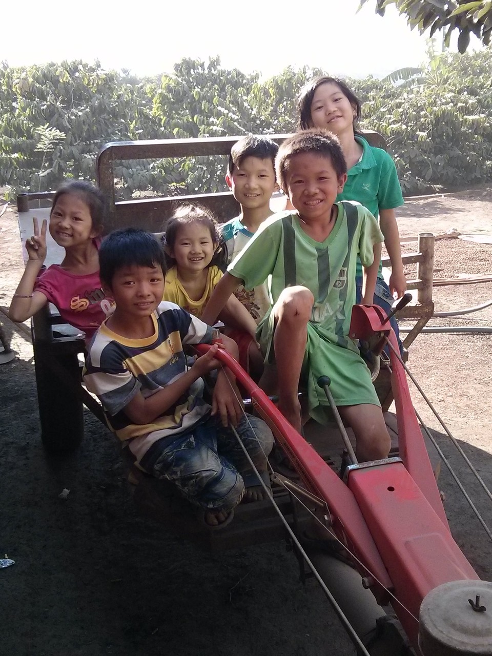 children on coffee farm in daklak