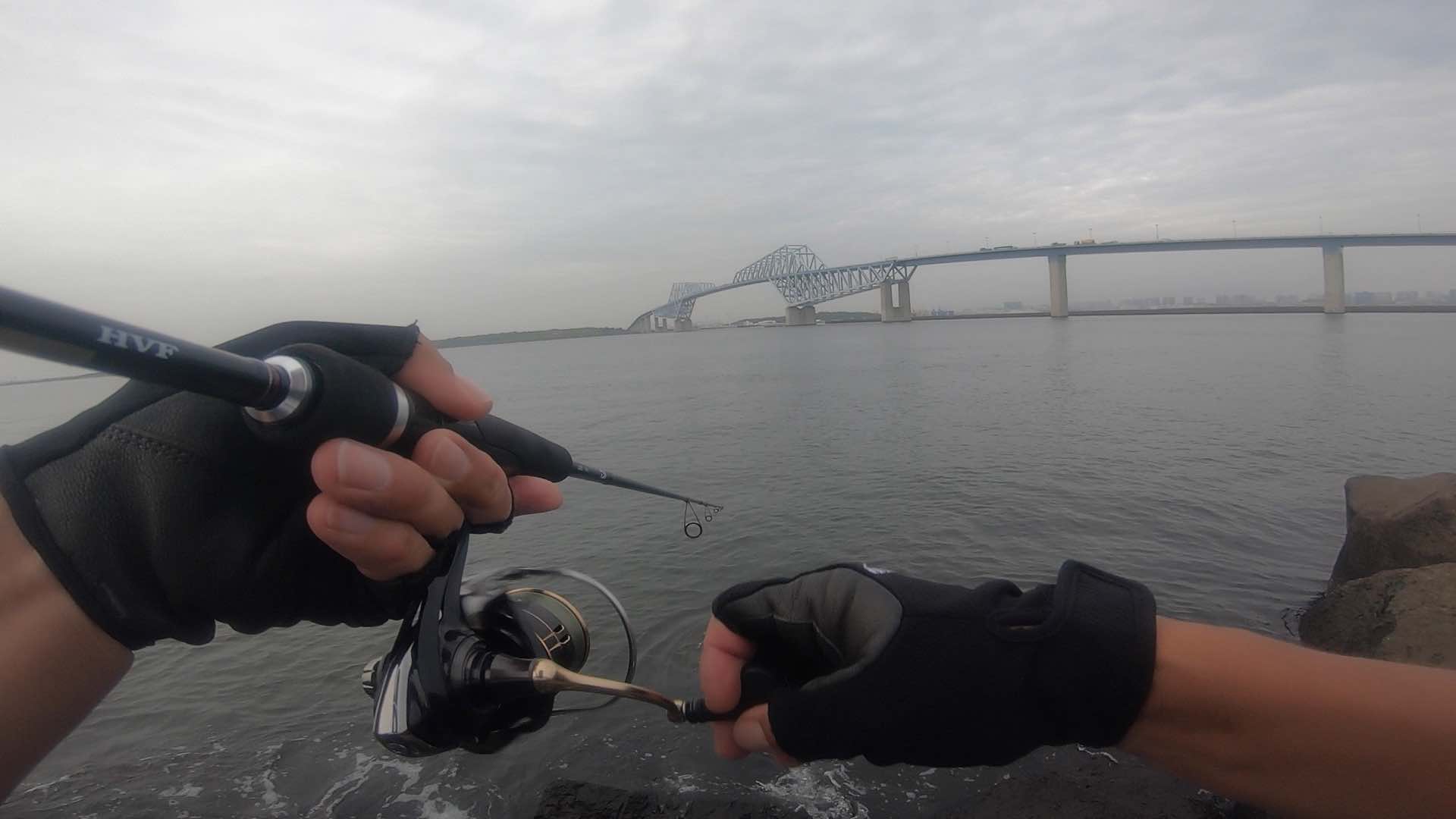 若洲海浜公園でシーバス連発 朝まずめのショアジギング