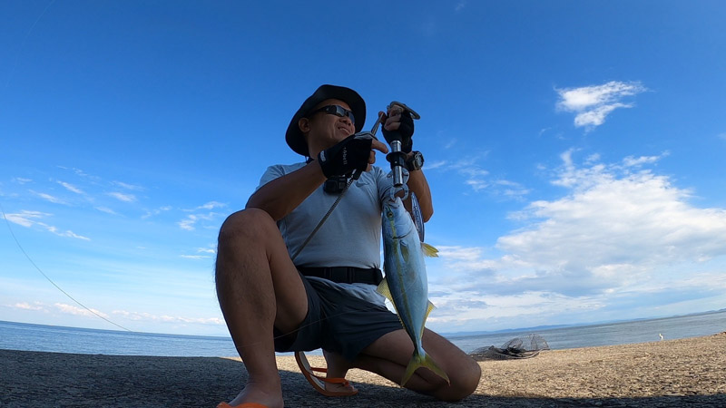 淡路島 佐野新島北波止でショアジギング ハマチ獲った!（秋の青物シーズン開幕）