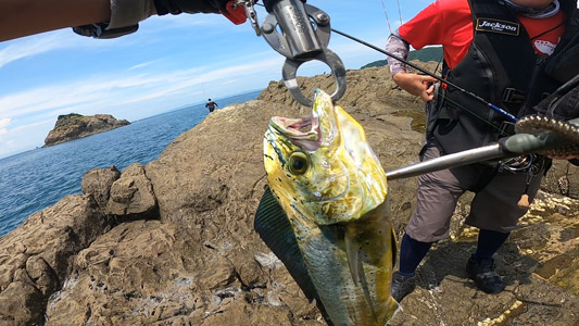 和歌山の沖磯で青物・シイラ狙いのショアジギング ロックショア/ヒラバエ