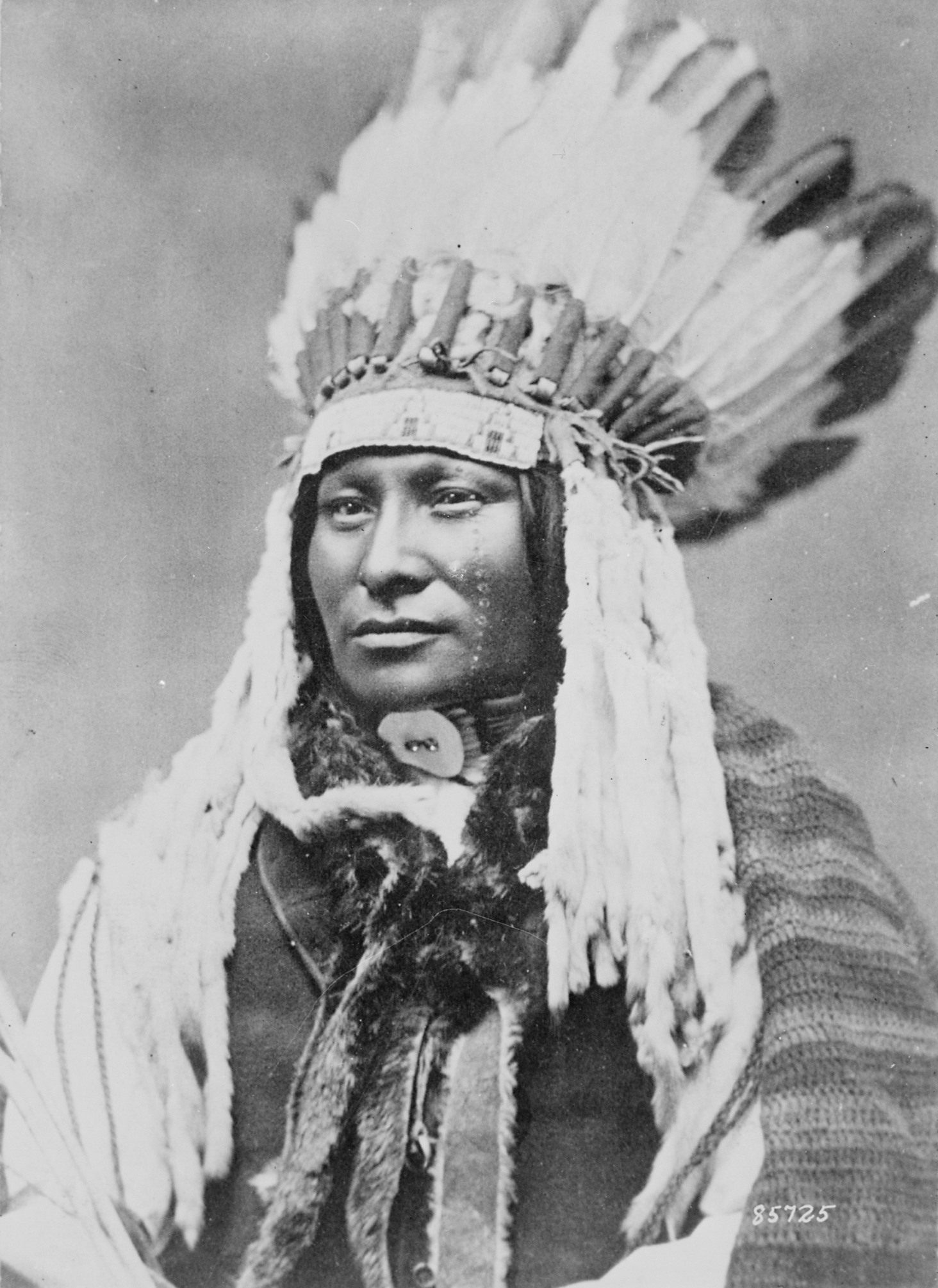 Rain in the Face, Hunkpapa Lakota