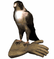 l'écoufle est un oiseau de proie.