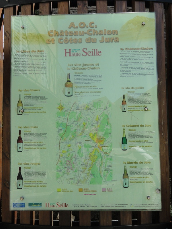 L'appellation Château-Chalon, c'est un vignoble de 50 hectares, pas plus.