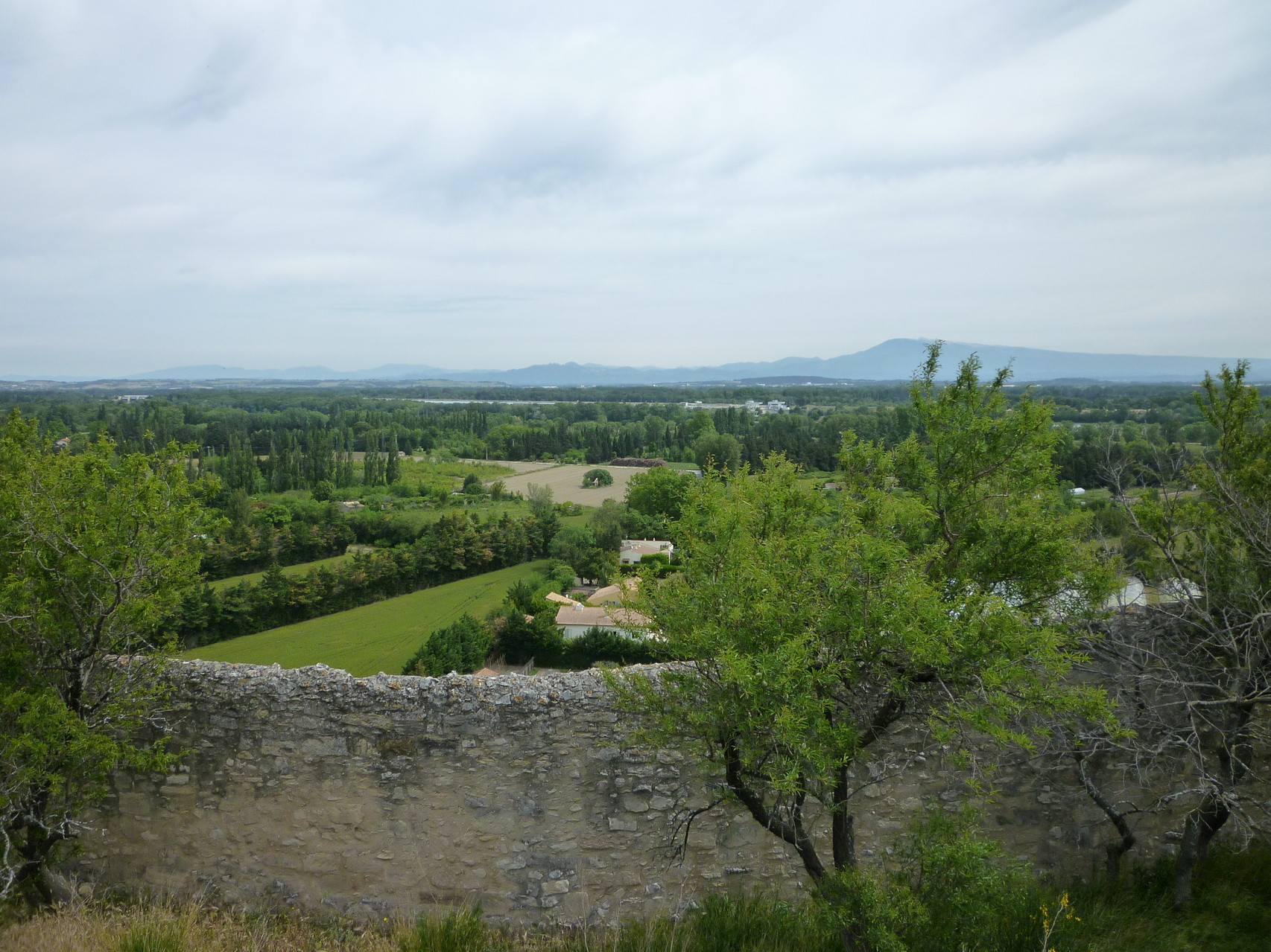Vue sur le Ventoux.