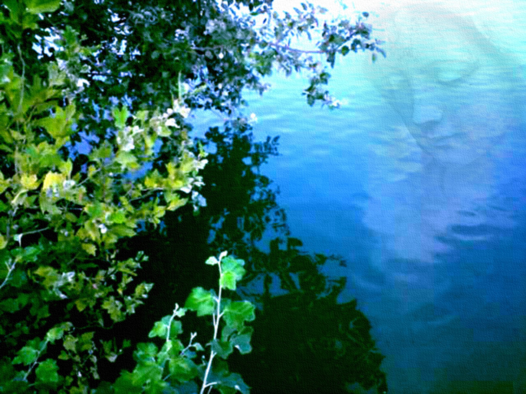 Message of the lake (photo-manipulation)