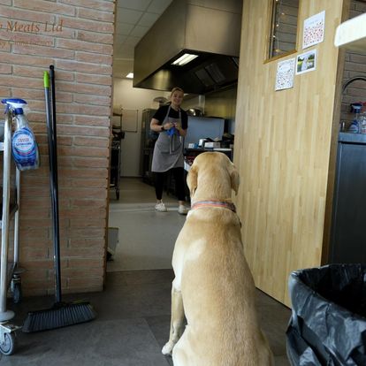 Our quality control officer also pays visit on occasions to ensure you are happy with everything.