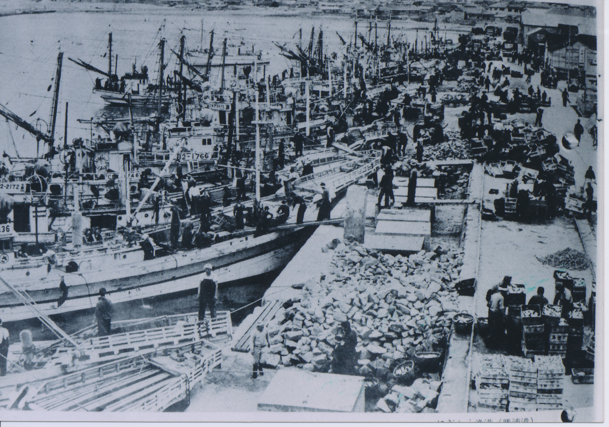 勝浦朝市の歴史 勝浦市観光協会公式サイト