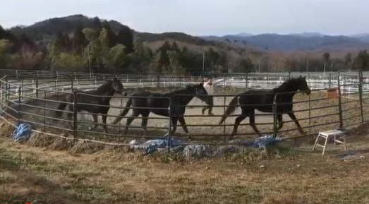 丸馬場でのスクーリング動画