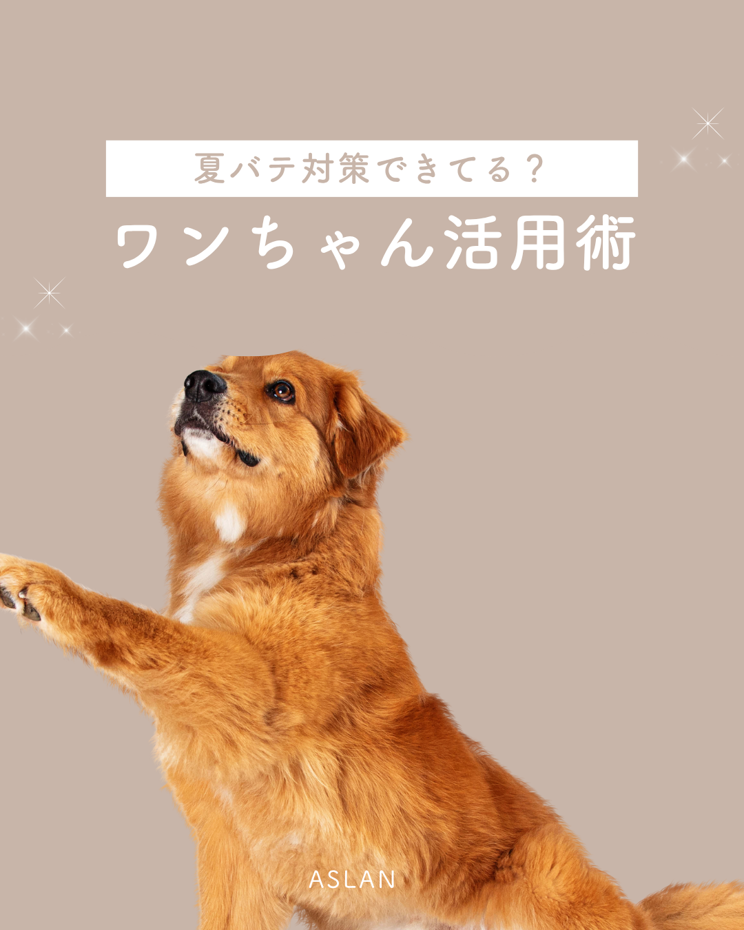 熱中症対策