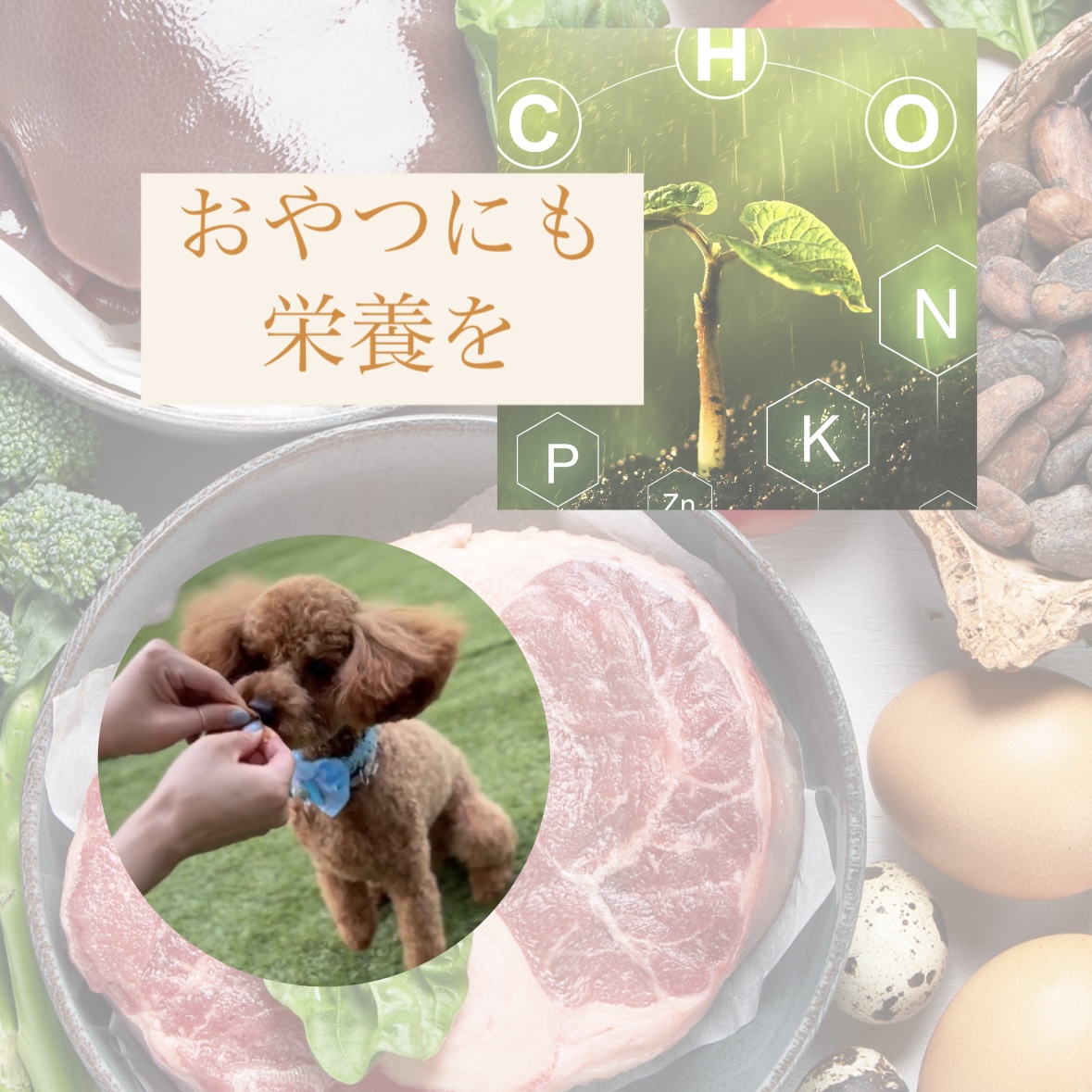 おやつにも栄養を