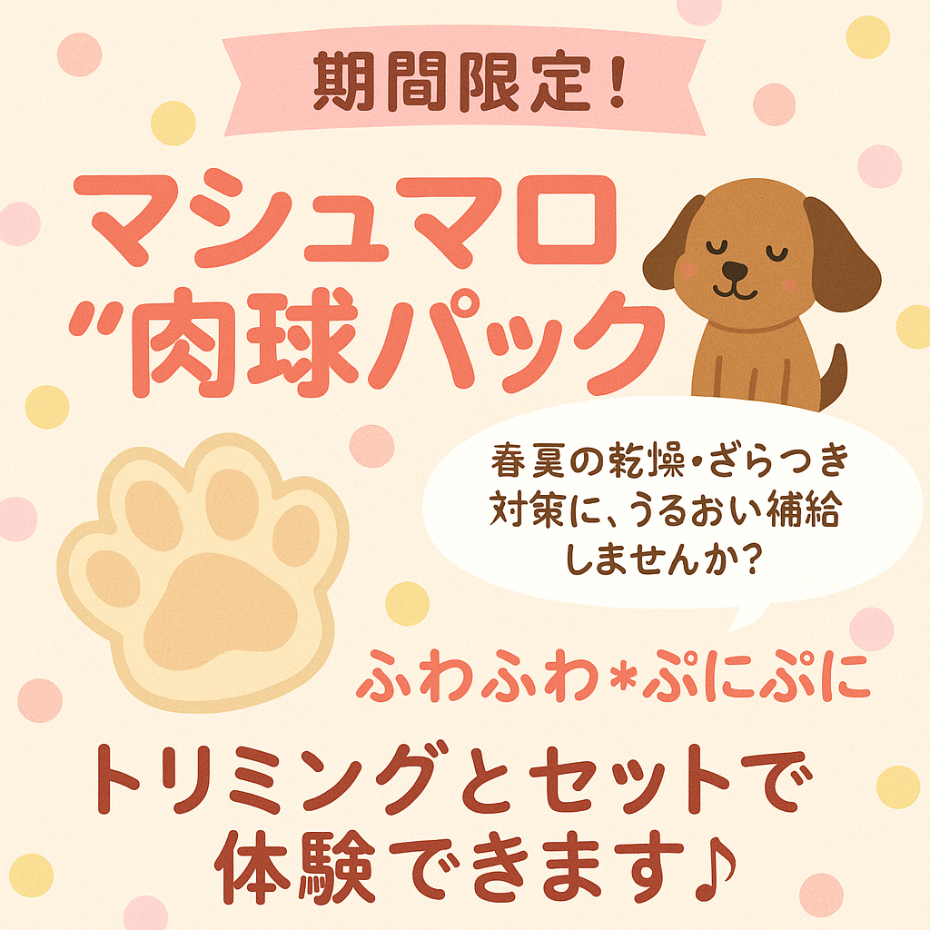 マシュマロ肉球パック