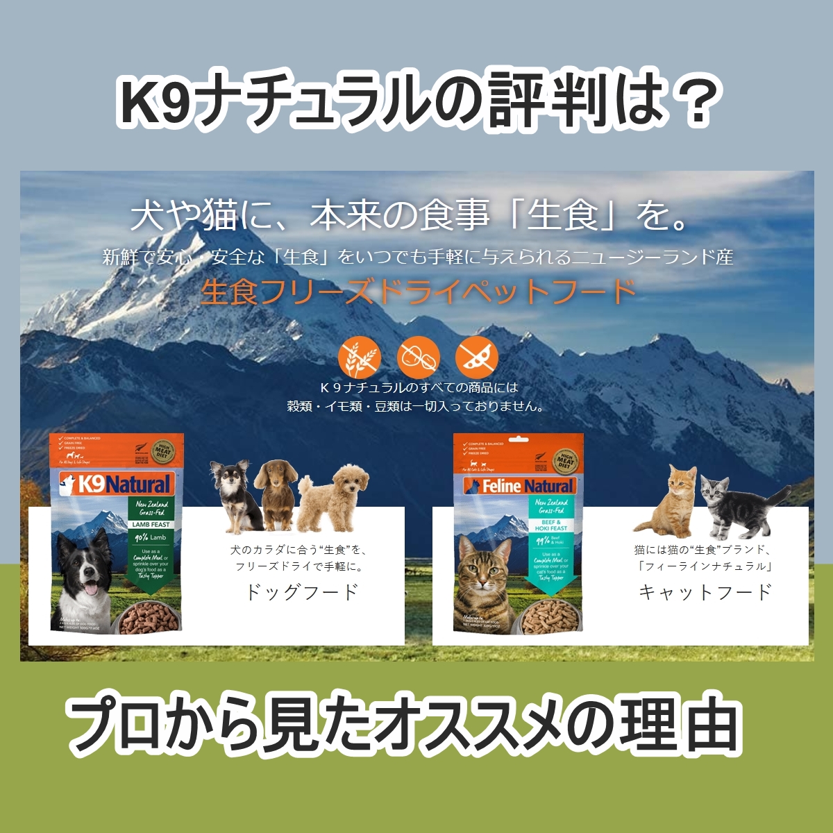 【涙やけ・食いつきに！】K9ナチュラルの評判は？