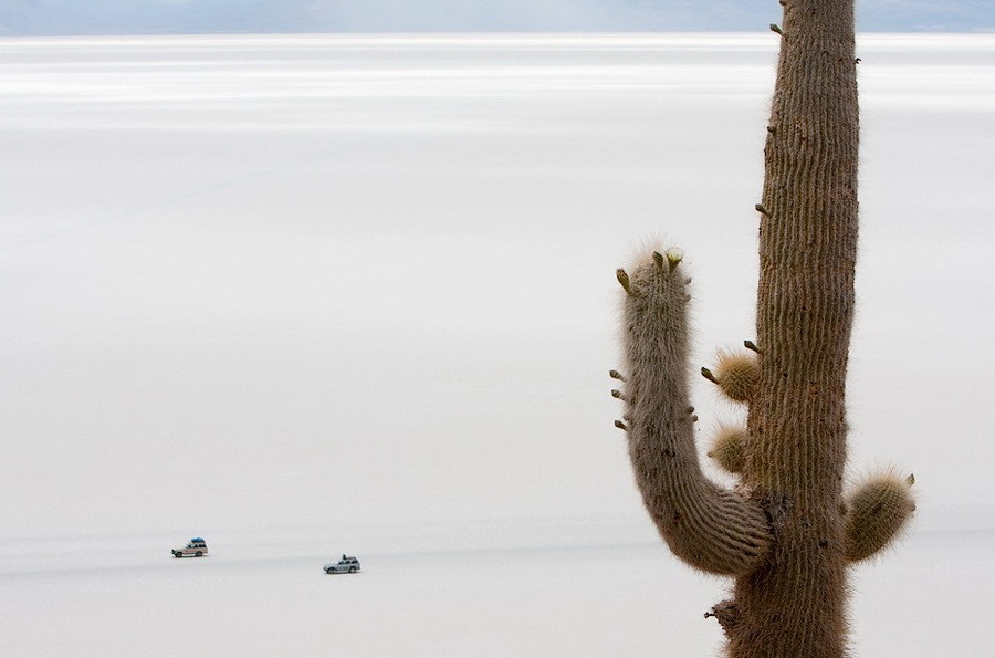 соль Солончак Уюни Salar de Uyuni