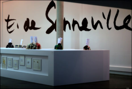 Exposition « Arrêt sur Image(s) », Musée La Piscine, Roubaix