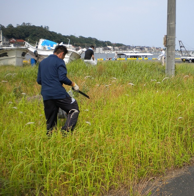 鳥取作業時