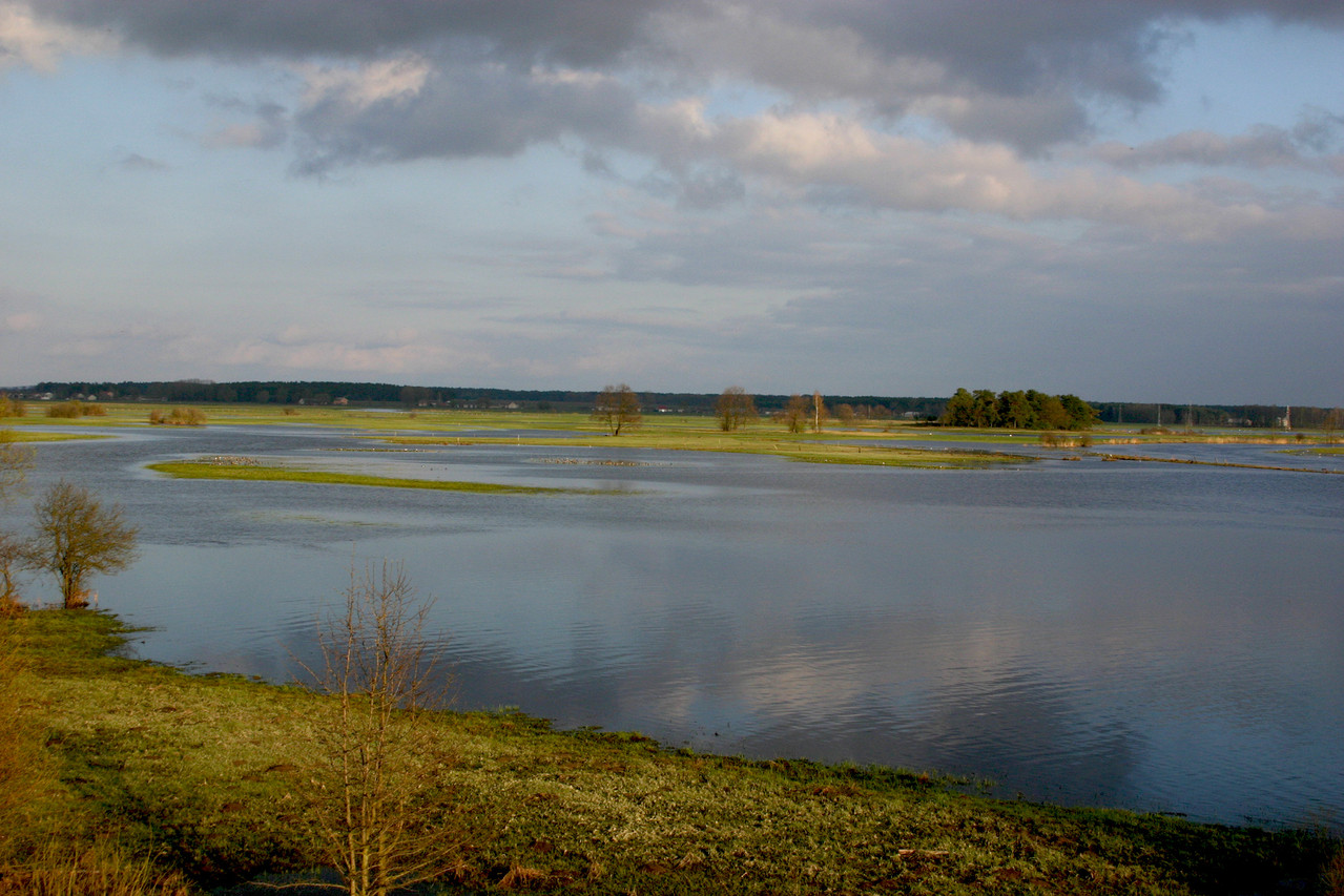 Land unter - das Flüsschen Narev bildet in der Nähe von Strekowa Gora einen flachen See 