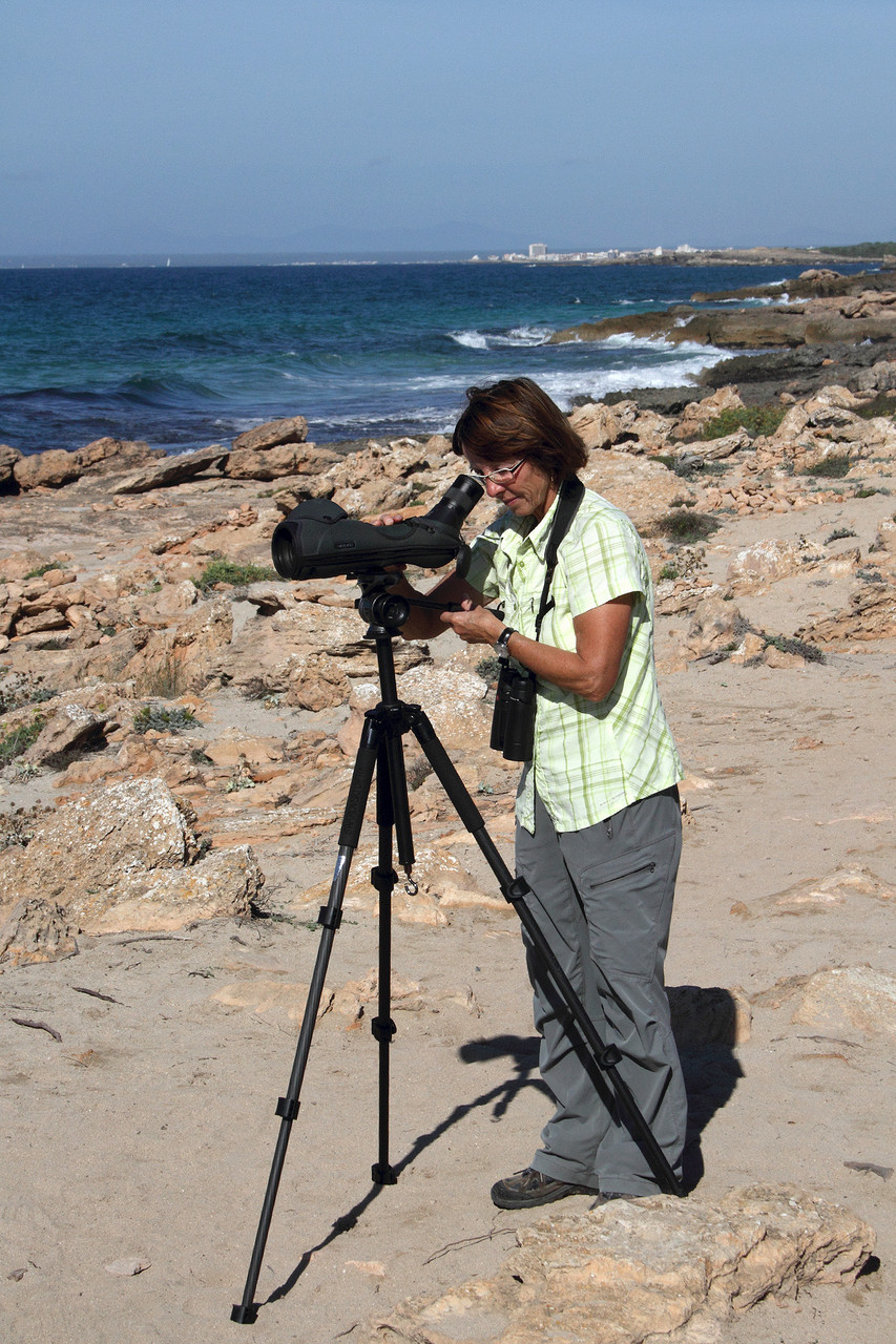 Edith sucht das Meer beim Cap de Ses Salines nach Meeresvögeln ab