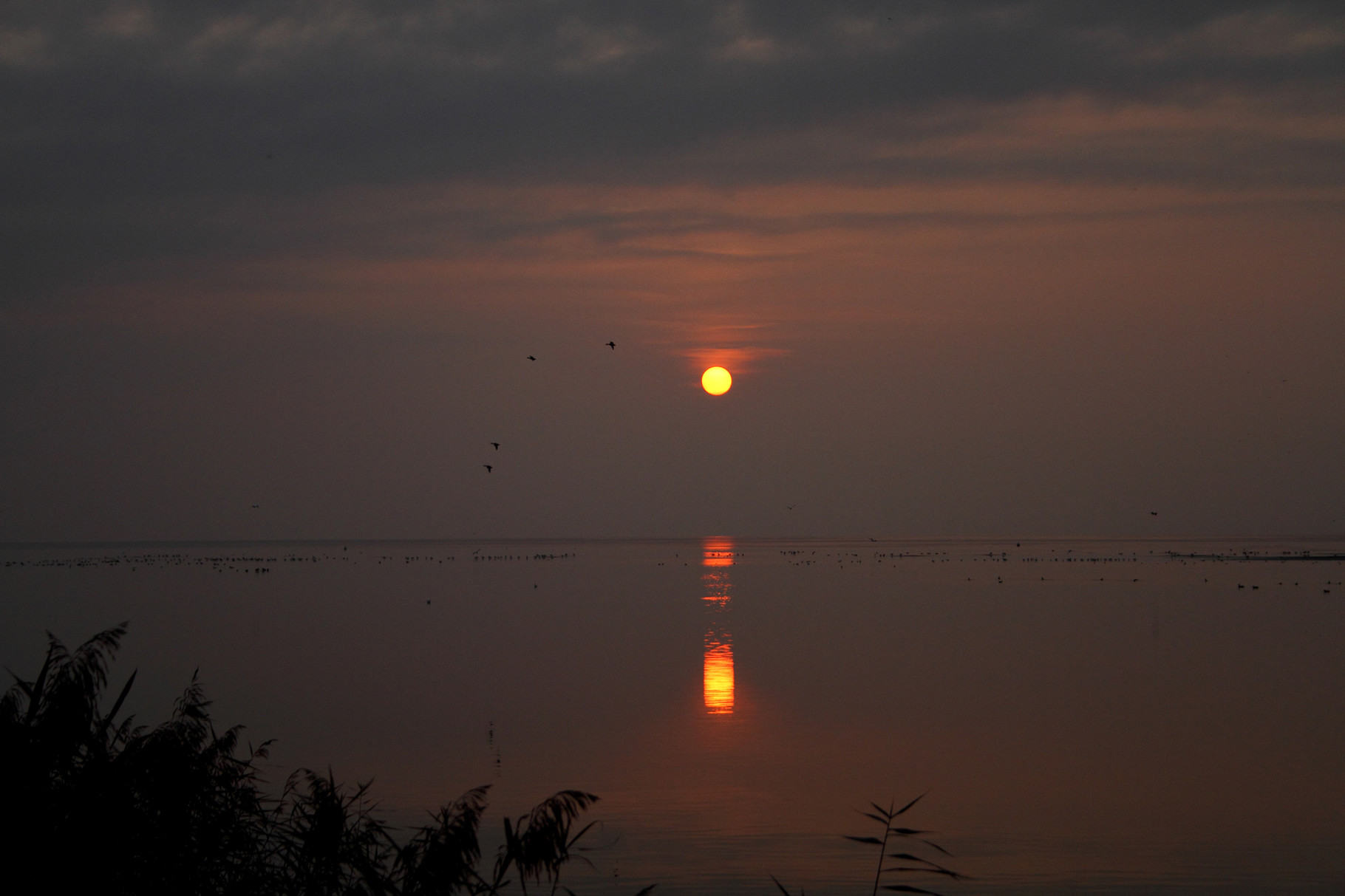 Sonnenuntergang am Neuenburgersee (La Sauge)