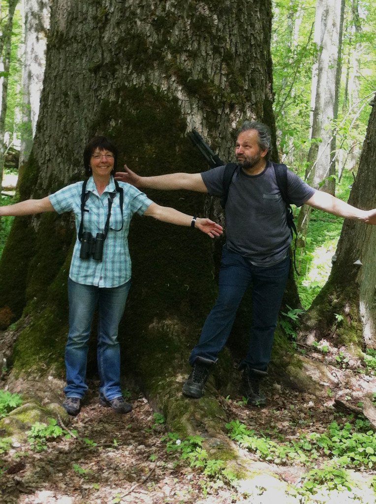 "Waldunterricht" mit unserem Guide Arek