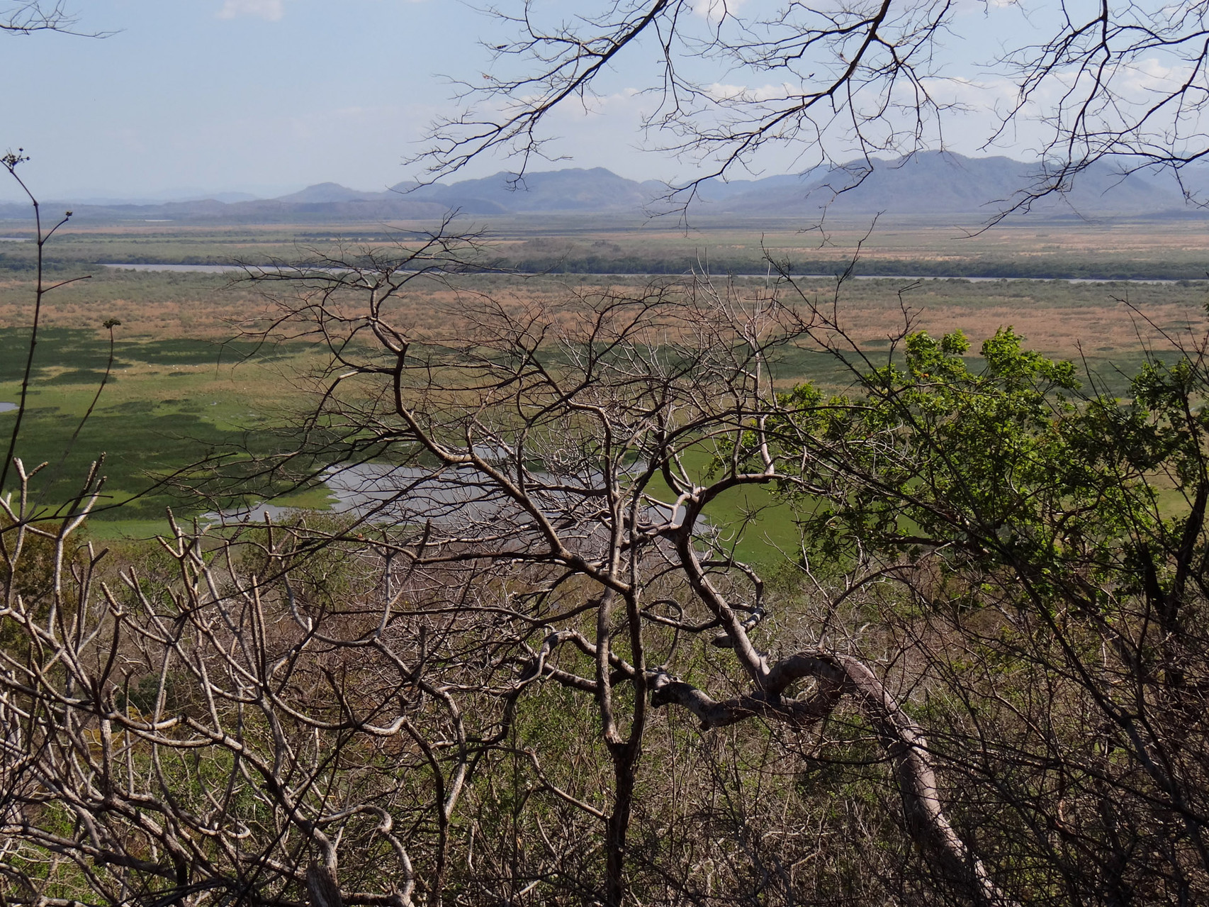 Blick aud den Palo Verde Nationalpark