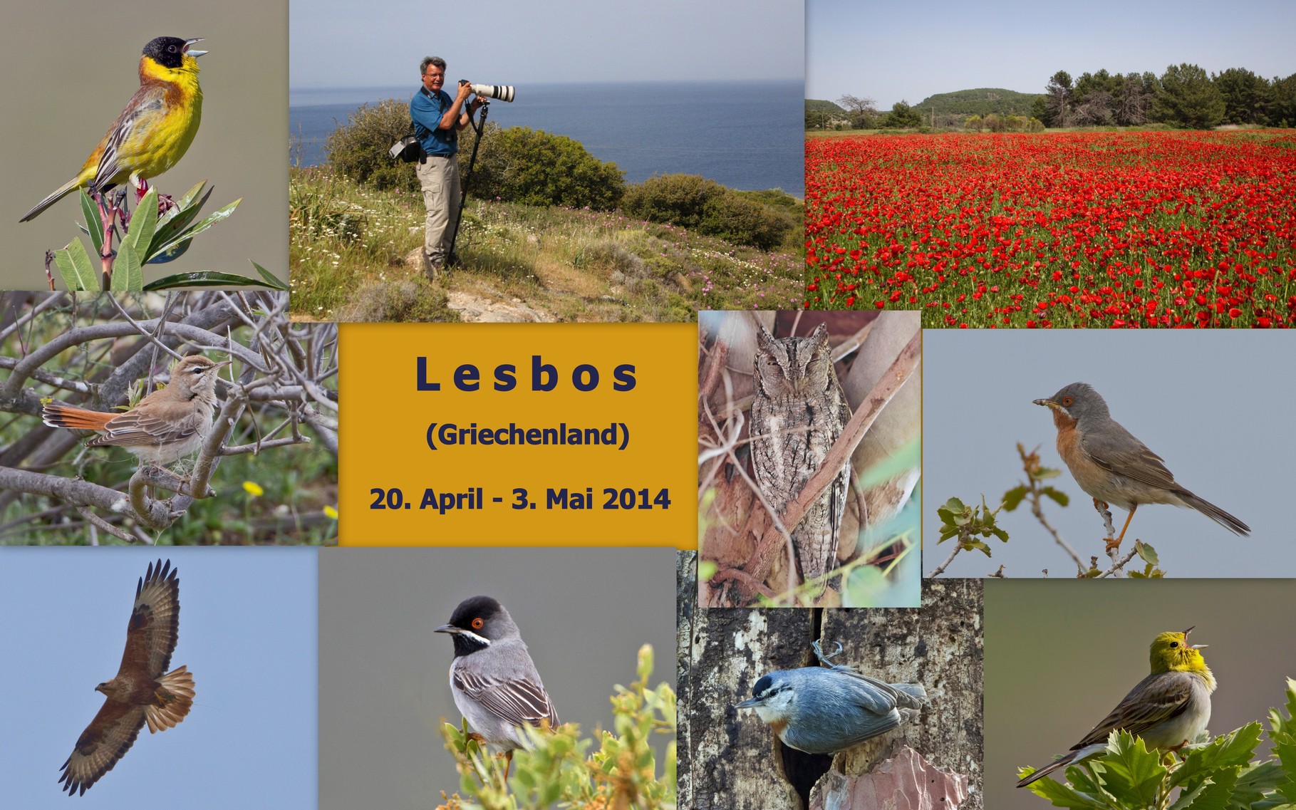 Starte die Bilder-Galerie unserer Lesbos-Reise im April/Mai 2014