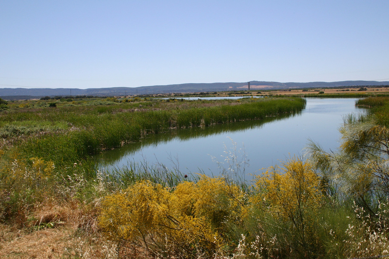 Feuchtgebiet am Arrocampo-Stausee (Kühlwasser-Reservoir des Kernkraftwerks von Almaraz)