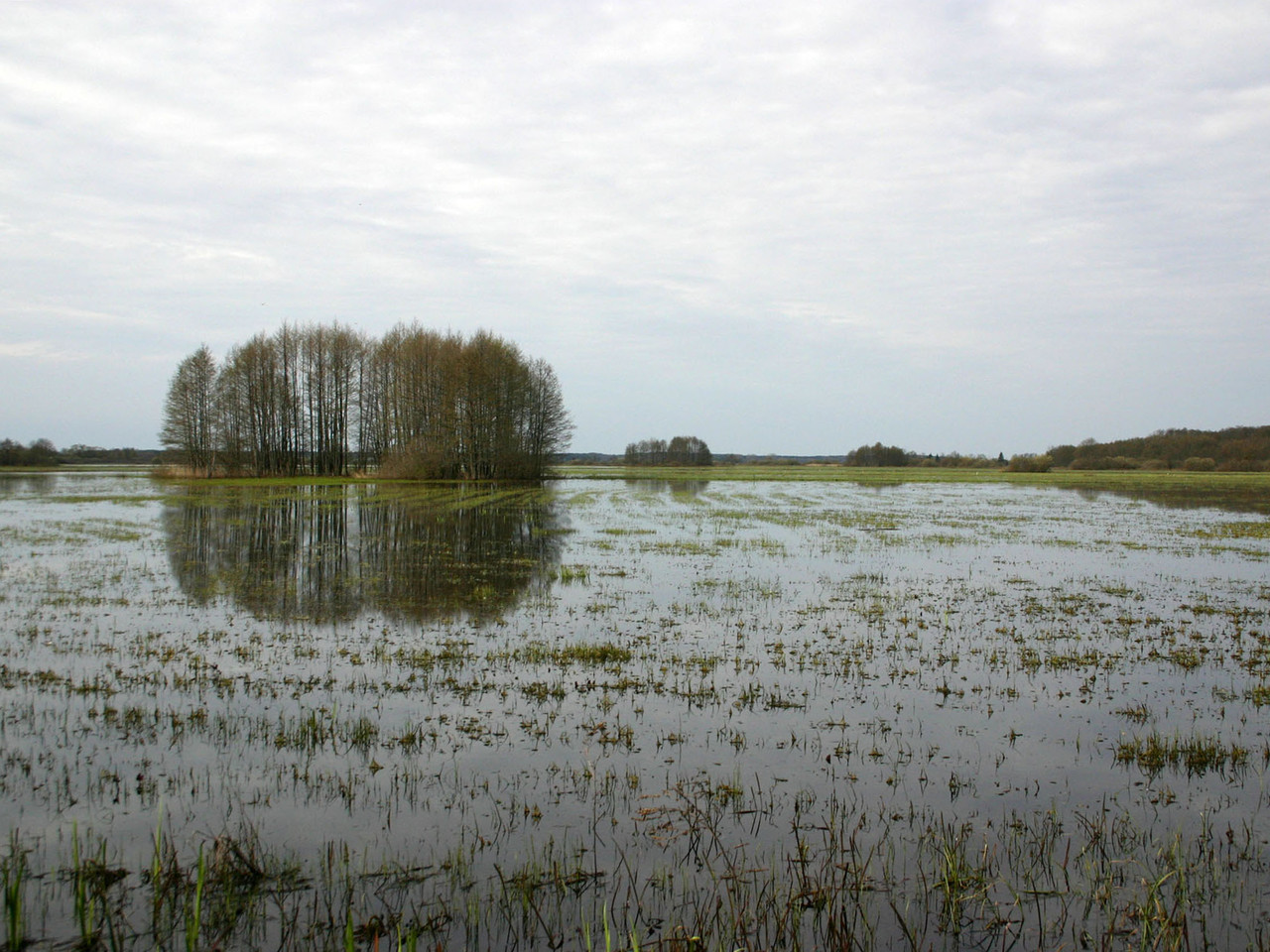 Überflutetes Land bei Goniadz