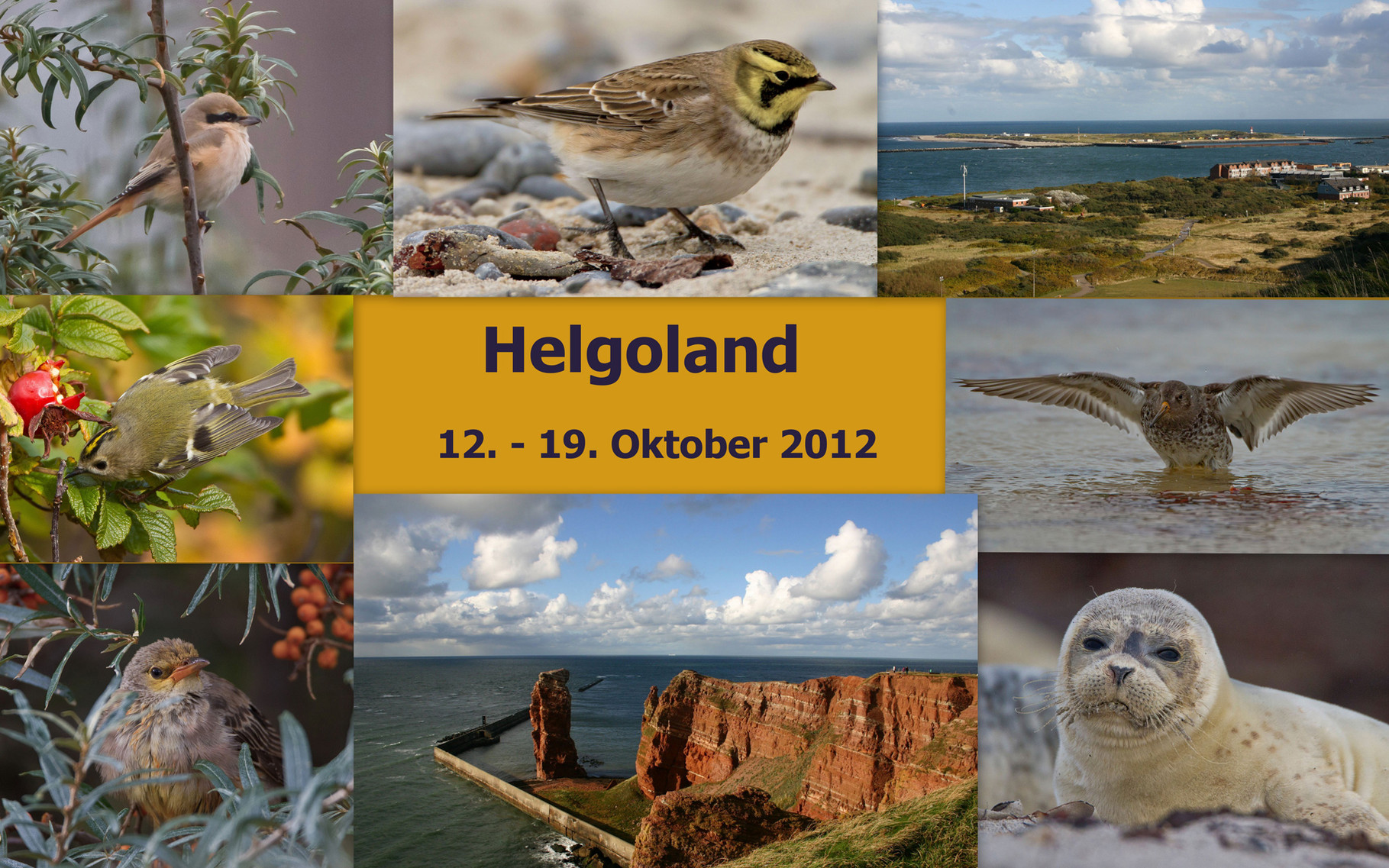 Starte die Bilder-Galerie unserer Helgoland-Reise im Oktober 2012
