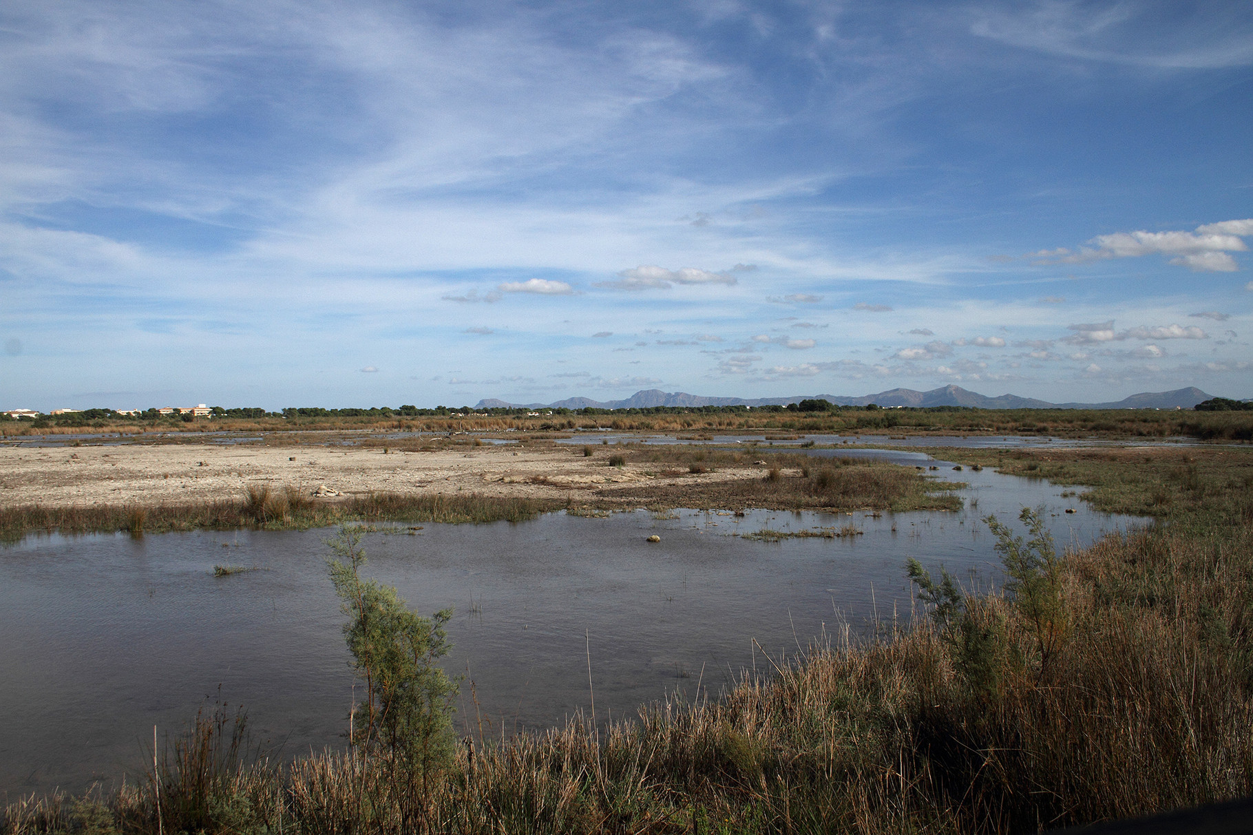 Feuchtgebiet s'Albufera im Norden der Insel