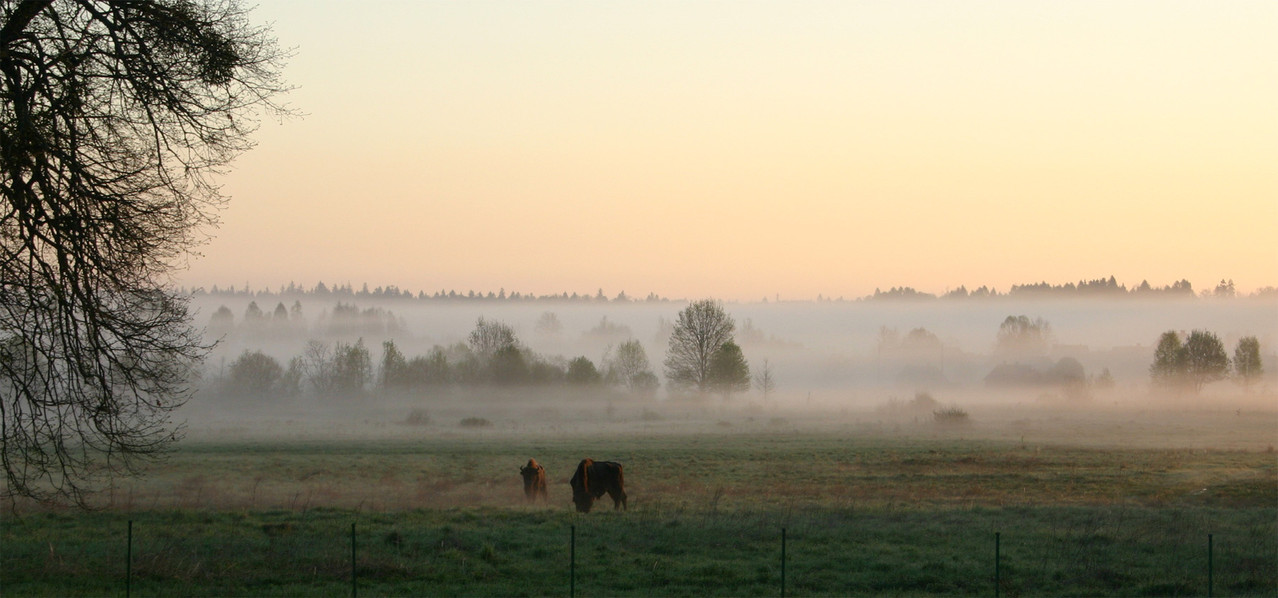  Im Morgennebel die erste Überraschung...