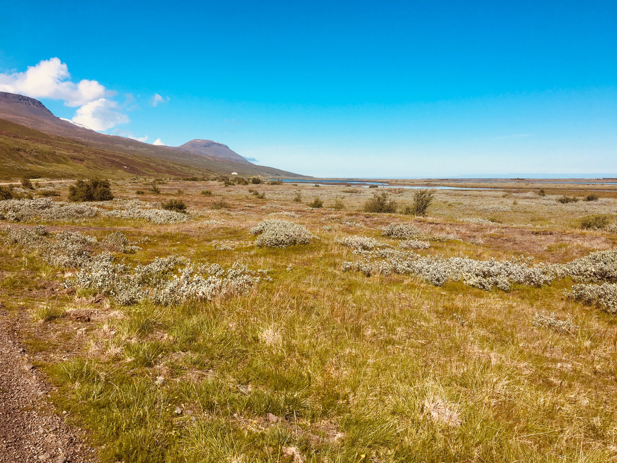 Die Mündung des Skafandafljot ist eine der einsamsten Gegenden im Nordosten Islands