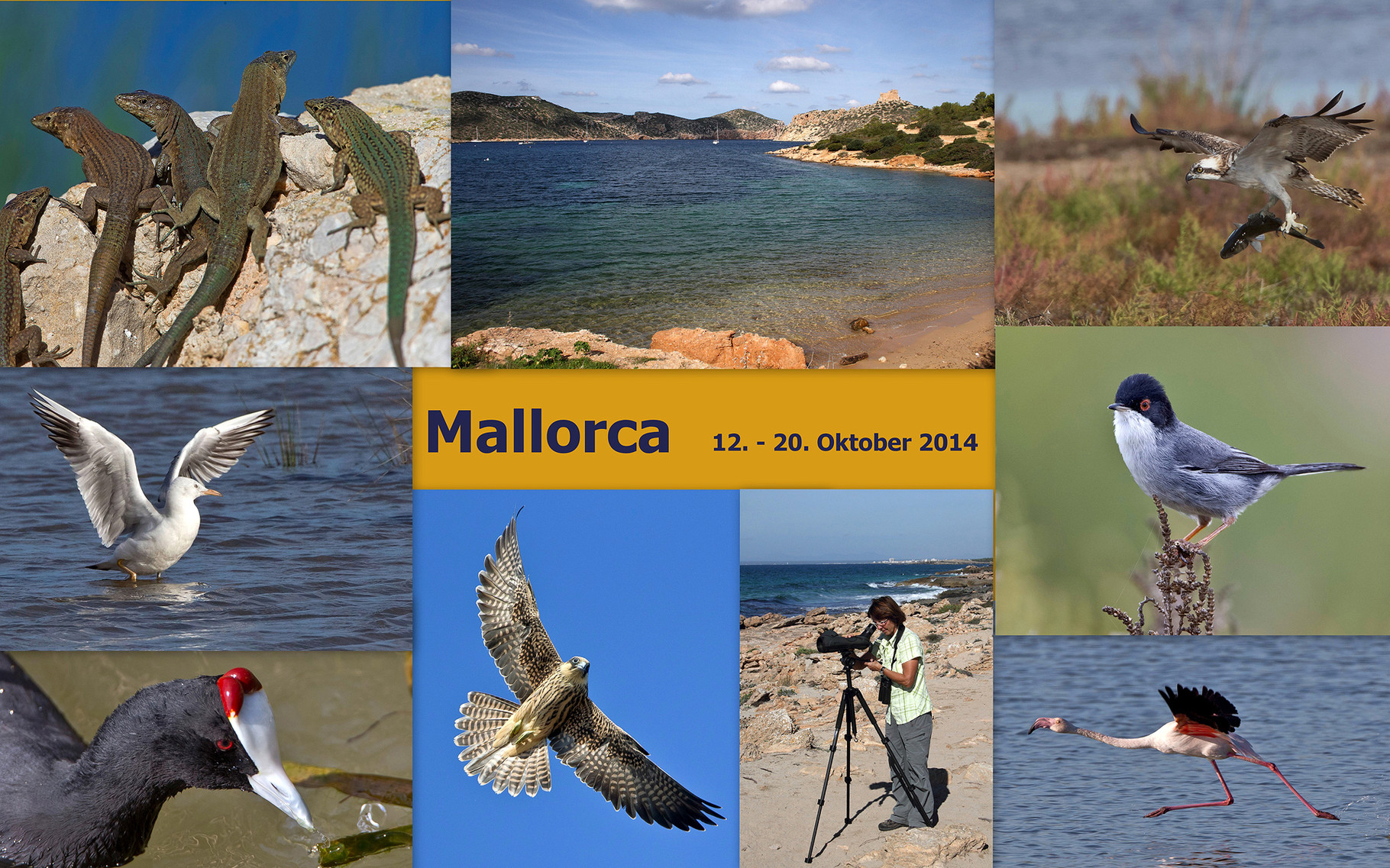Starte die Bilder-Galerie unserer Mallorca-Reise im Oktober 2014 