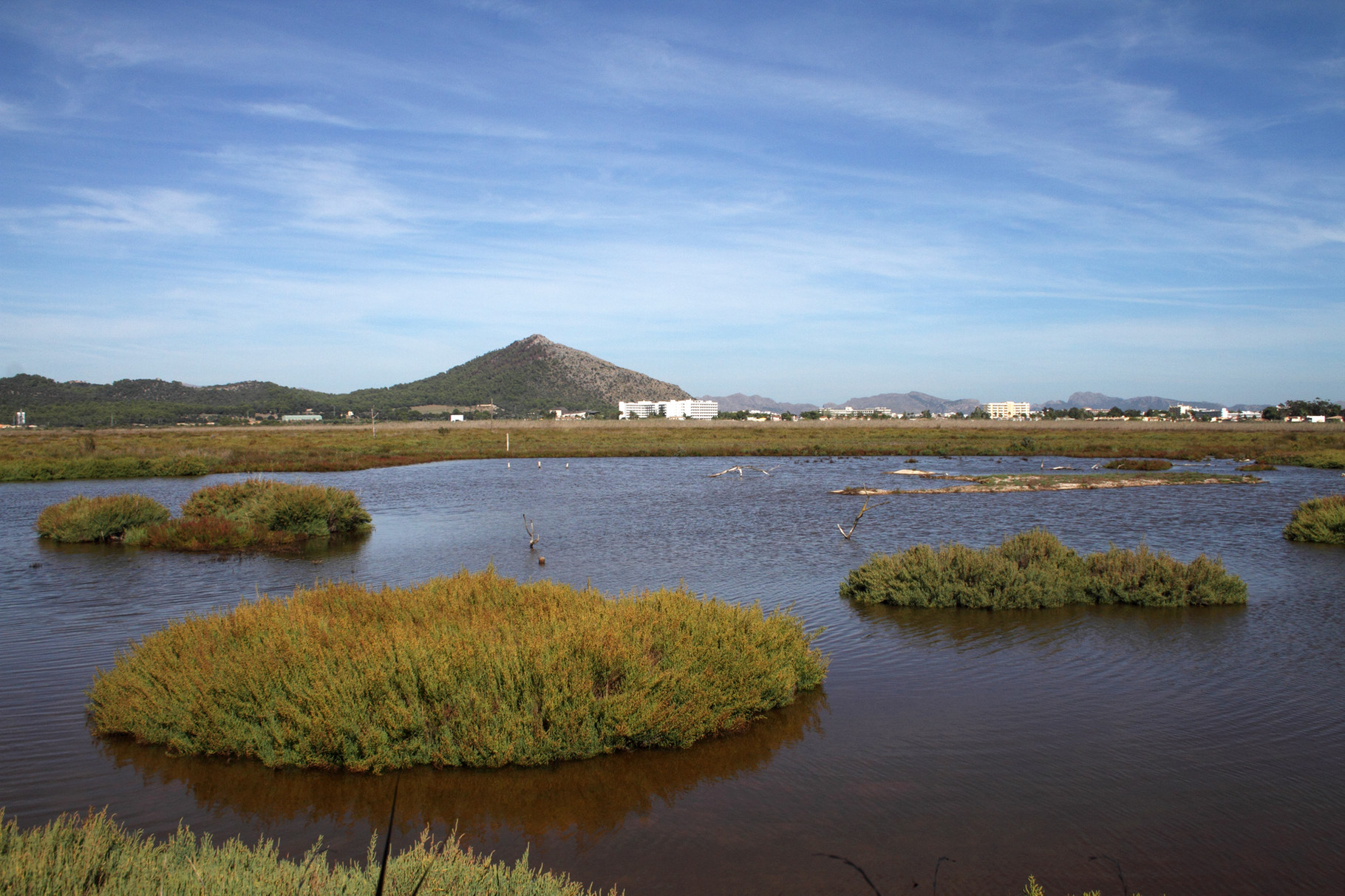 Das Naturschutzgebiet s`Albufera liegt in unmittelbarer Nachbarschaft der «Bettenburgen» von Can Picafort