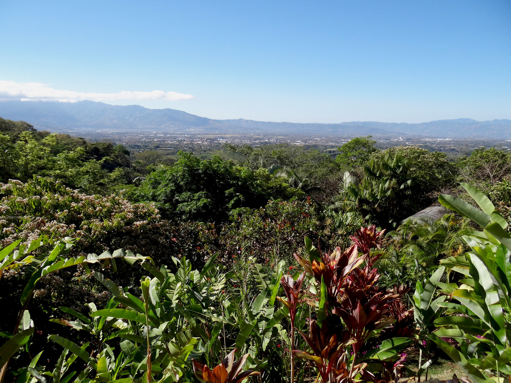 Blick von der Terrasse des Xandari-Hotels auf San José/Alajuela