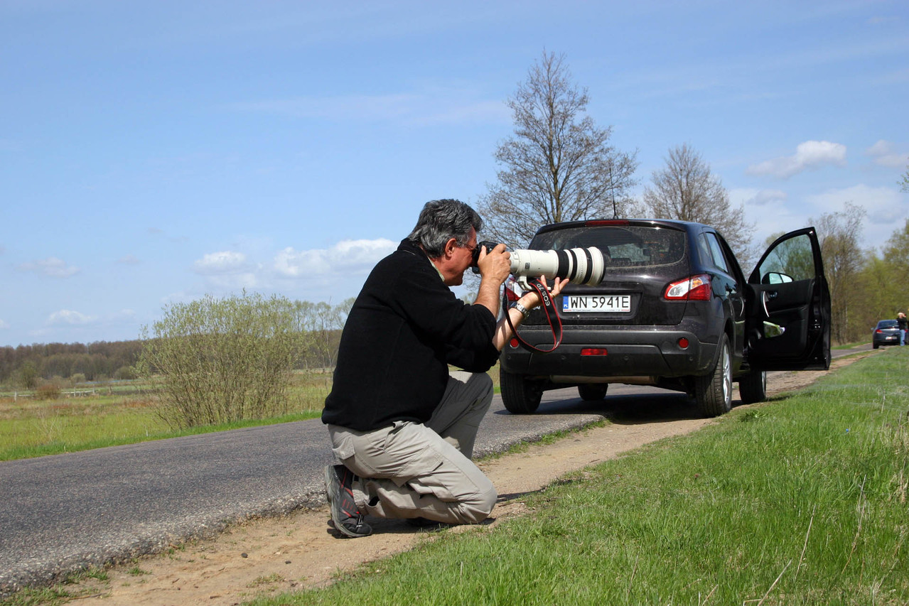 Auf Fotopirsch bei Goniadz