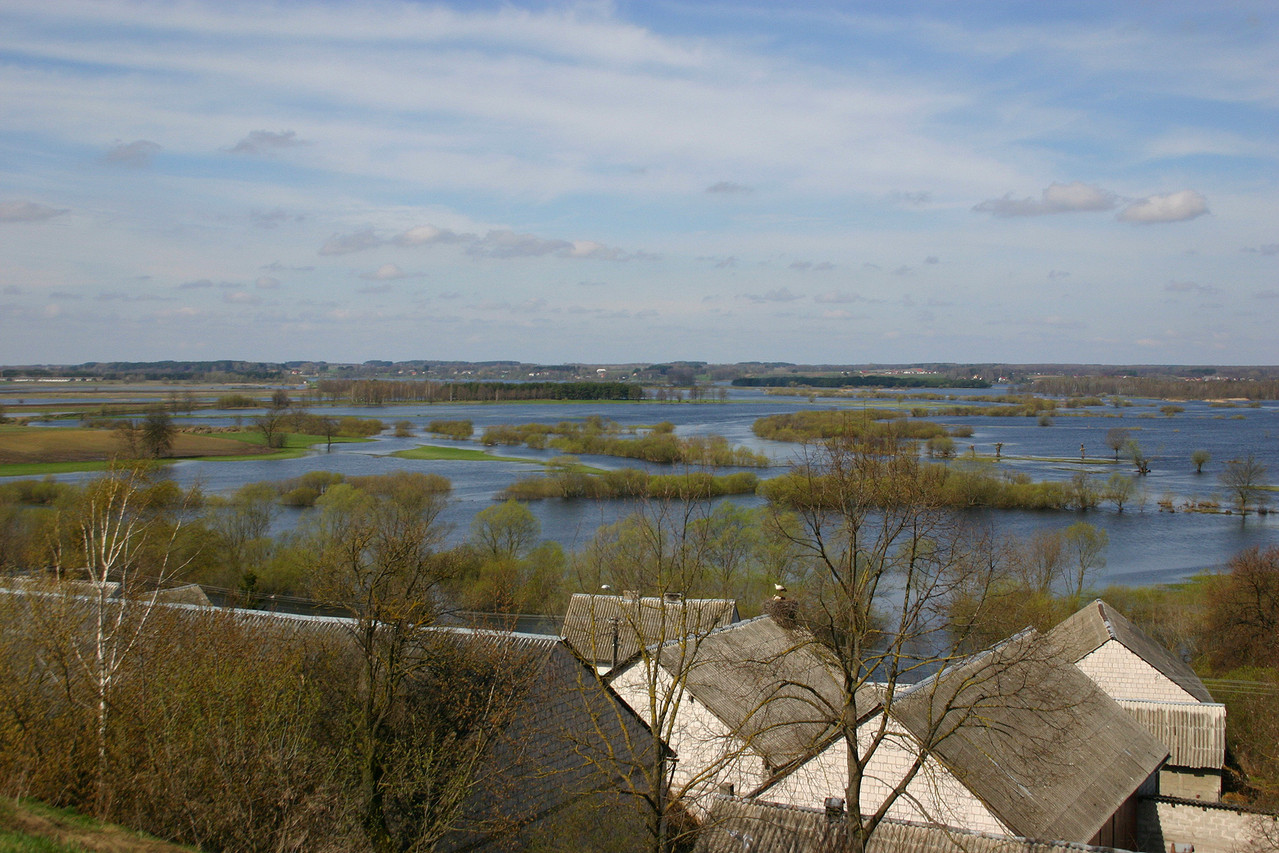 Zusammenfluss der beiden Flüsse Biebrza und Narev. Das Land wird im Frühjahr regelmässig überflutet.