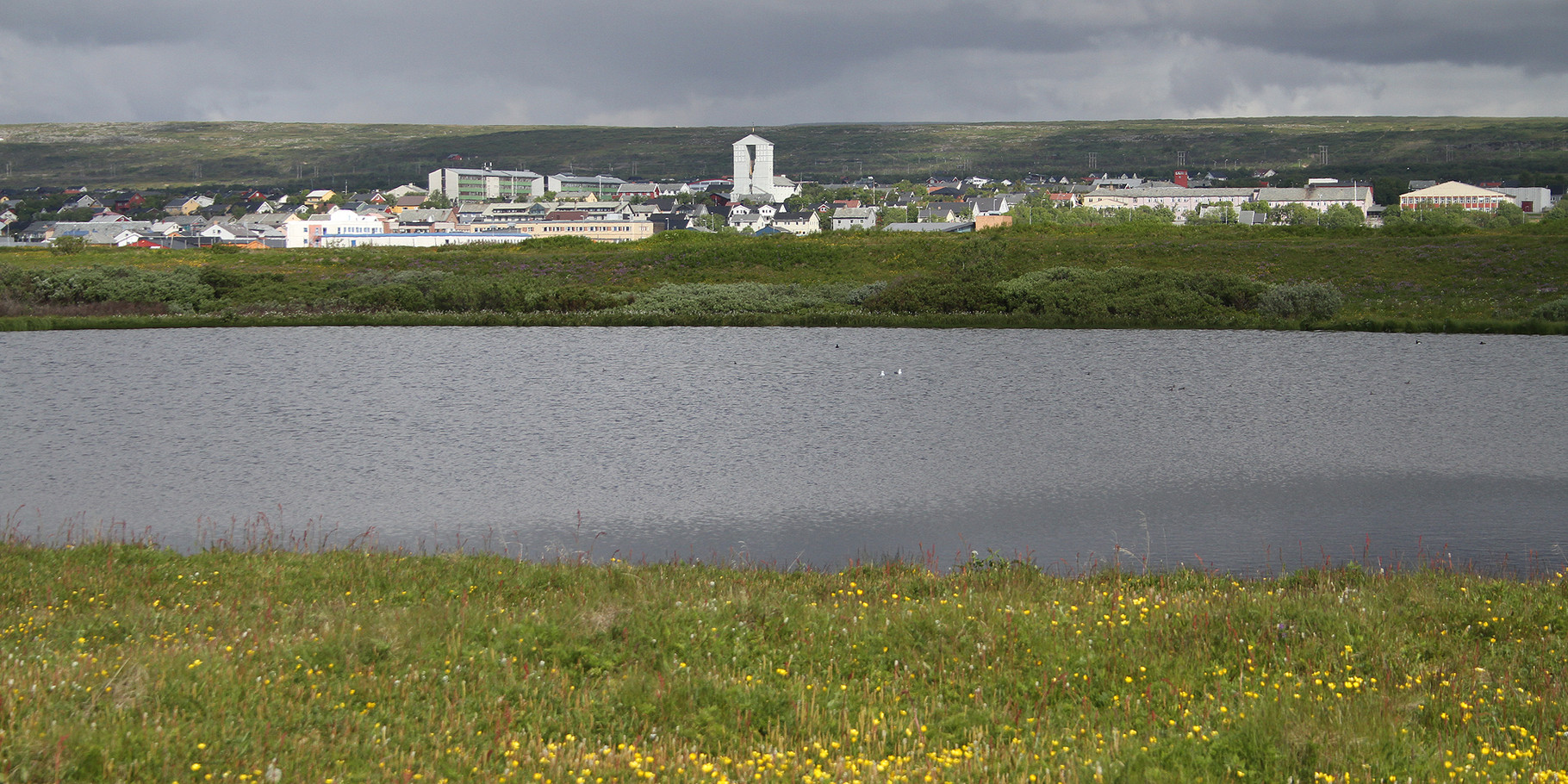 Ein weiterer ergiebiger Beobachtungspunkt ist der Teich auf Vadsoya, nahe unserem Standort Vadso, der grössten Stadt am Varanger Fjord